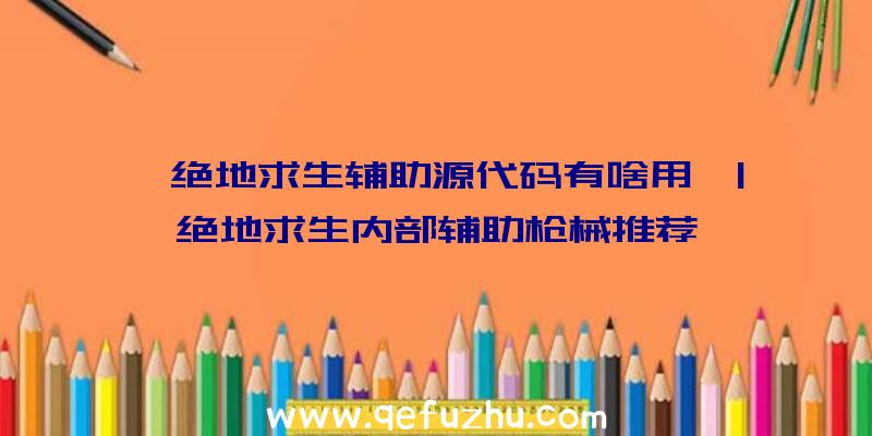 「绝地求生辅助源代码有啥用」|绝地求生内部辅助枪械推荐